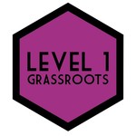 Level 1 Data Skills